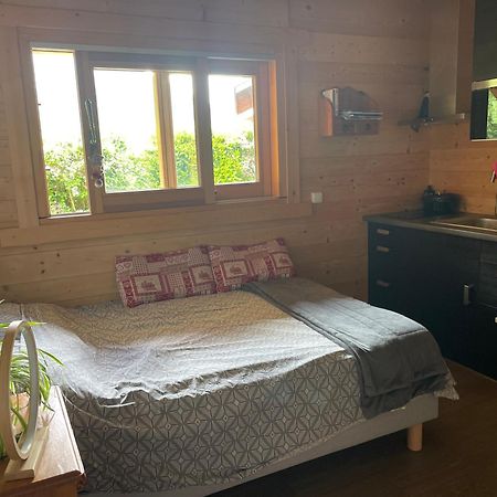 Studio 1 Piece Situe Dans Un Chalet Διαμέρισμα Beaufort  Εξωτερικό φωτογραφία