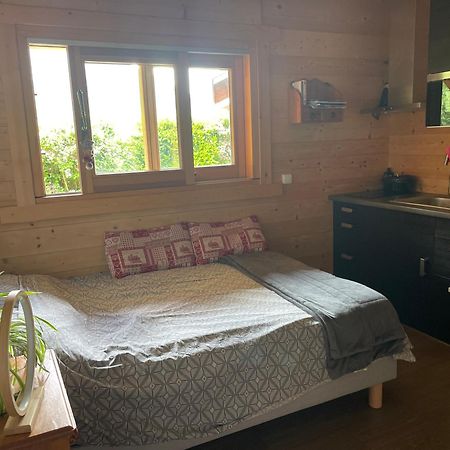 Studio 1 Piece Situe Dans Un Chalet Beaufort  Εξωτερικό φωτογραφία