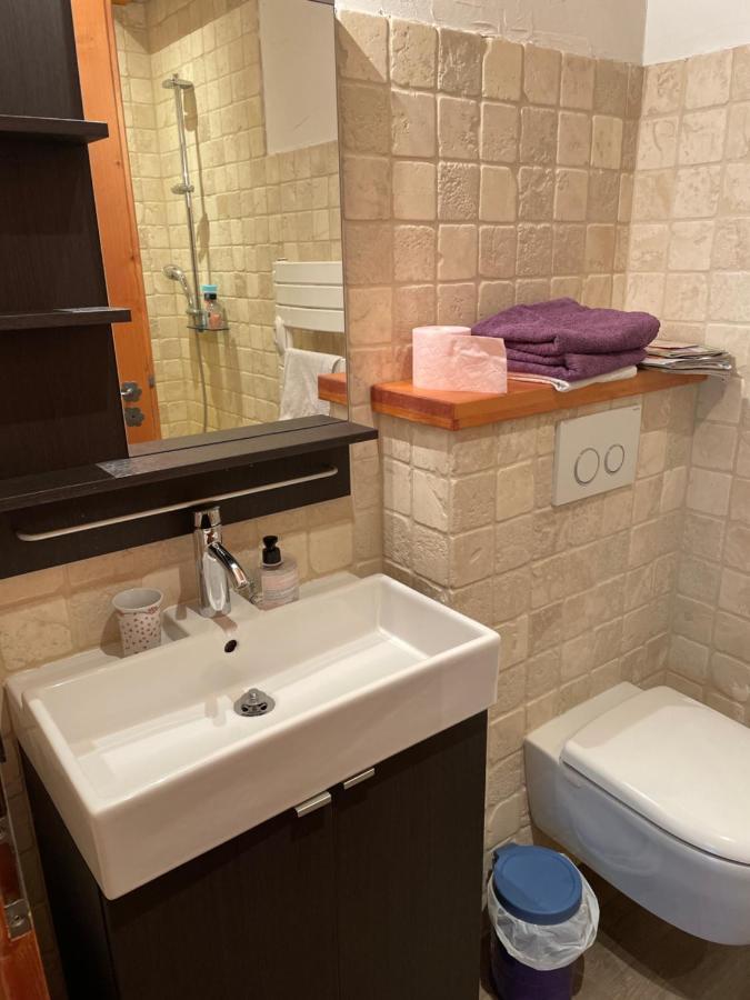 Studio 1 Piece Situe Dans Un Chalet Beaufort  Εξωτερικό φωτογραφία
